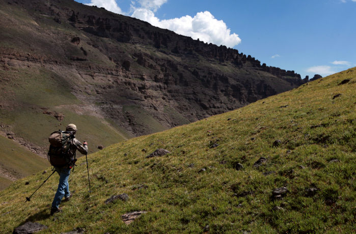 Grizzly Moth Site